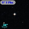 V* Y Phe