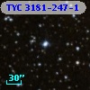 TYC 3181-247-1