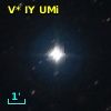 V* IY UMi