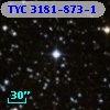 TYC 3181-873-1