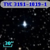 TYC 3181-1019-1