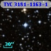 TYC 3181-1163-1
