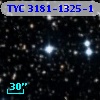 TYC 3181-1325-1