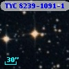 TYC 8239-1091-1