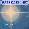 IRAS F12253-4957