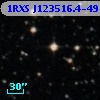1RXS J123516.4-491956