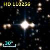 HD 110256