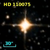 HD 110075