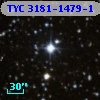 TYC 3181-1479-1