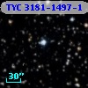TYC 3181-1497-1