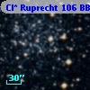 Cl* Ruprecht  106    BBF  1-1307