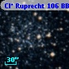 Cl* Ruprecht  106    BBF  1-1355