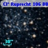Cl* Ruprecht  106    BBF  1-1469