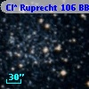 Cl* Ruprecht  106    BBF  1-1470