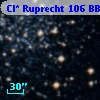 Cl* Ruprecht  106    BBF  1-1636