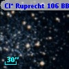 Cl* Ruprecht  106    BBF  1-1696
