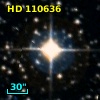 HD 110636