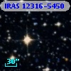 IRAS 12316-5450
