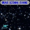 IRAS 12308-5446
