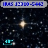 IRAS 12310-5442
