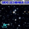 1RXS J124040.8-535810