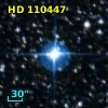 HD 110447