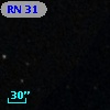 RN 31