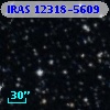IRAS 12318-5609
