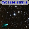 TYC 3194-1255-1