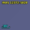 IRAS 12372-5828