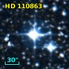 HD 110863