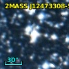 IRAS 12446-5901