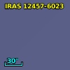 IRAS 12457-6023