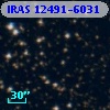 IRAS 12491-6031