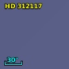 HD 312117