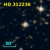HD 312236