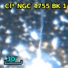 Cl* NGC 4755     BK     142