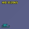 HD 312065