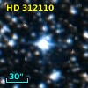 HD 312110