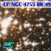 Cl* NGC 4755     BK      49