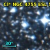 Cl* NGC 4755    ESL      50