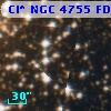 Cl* NGC 4755    FDK      94