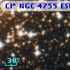 Cl* NGC 4755    ESL      97