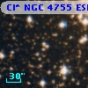 Cl* NGC 4755    ESL     104