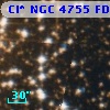 Cl* NGC 4755    FDK     114
