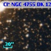 Cl* NGC 4755     DK    1222