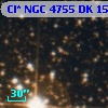 Cl* NGC 4755     DK    1501
