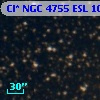 Cl* NGC 4755    ESL     105