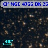 Cl* NGC 4755     DK    2510