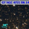 Cl* NGC 4755     DK    1422